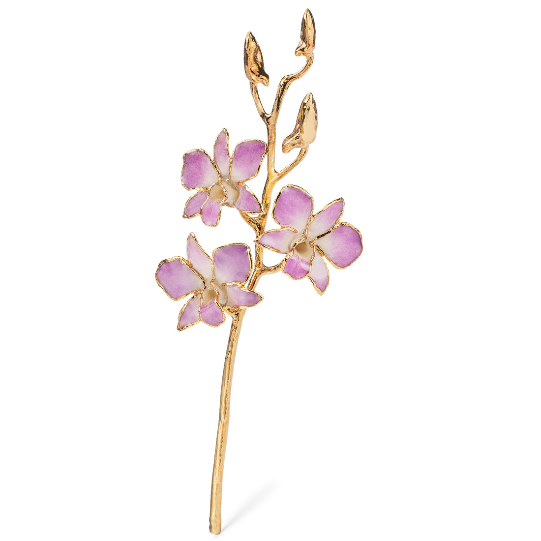 24K Gold Dipped Orchid in Lilac view of gold stem and flowers