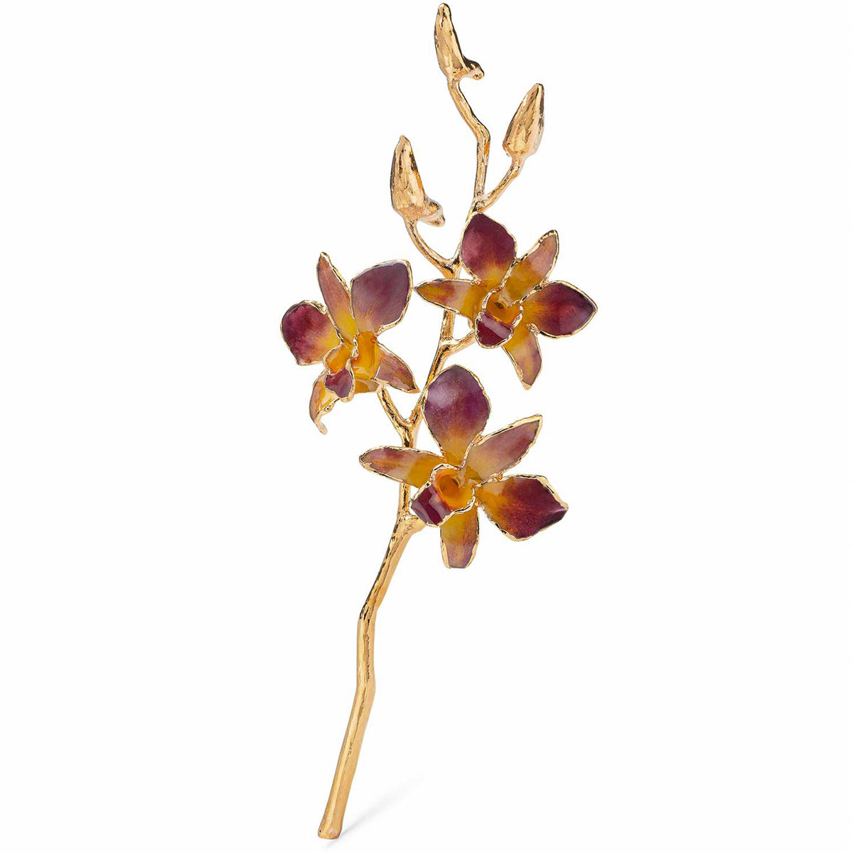 24K Gold Dipped Orchid in Lilac Yellow view of gold stem and flowers