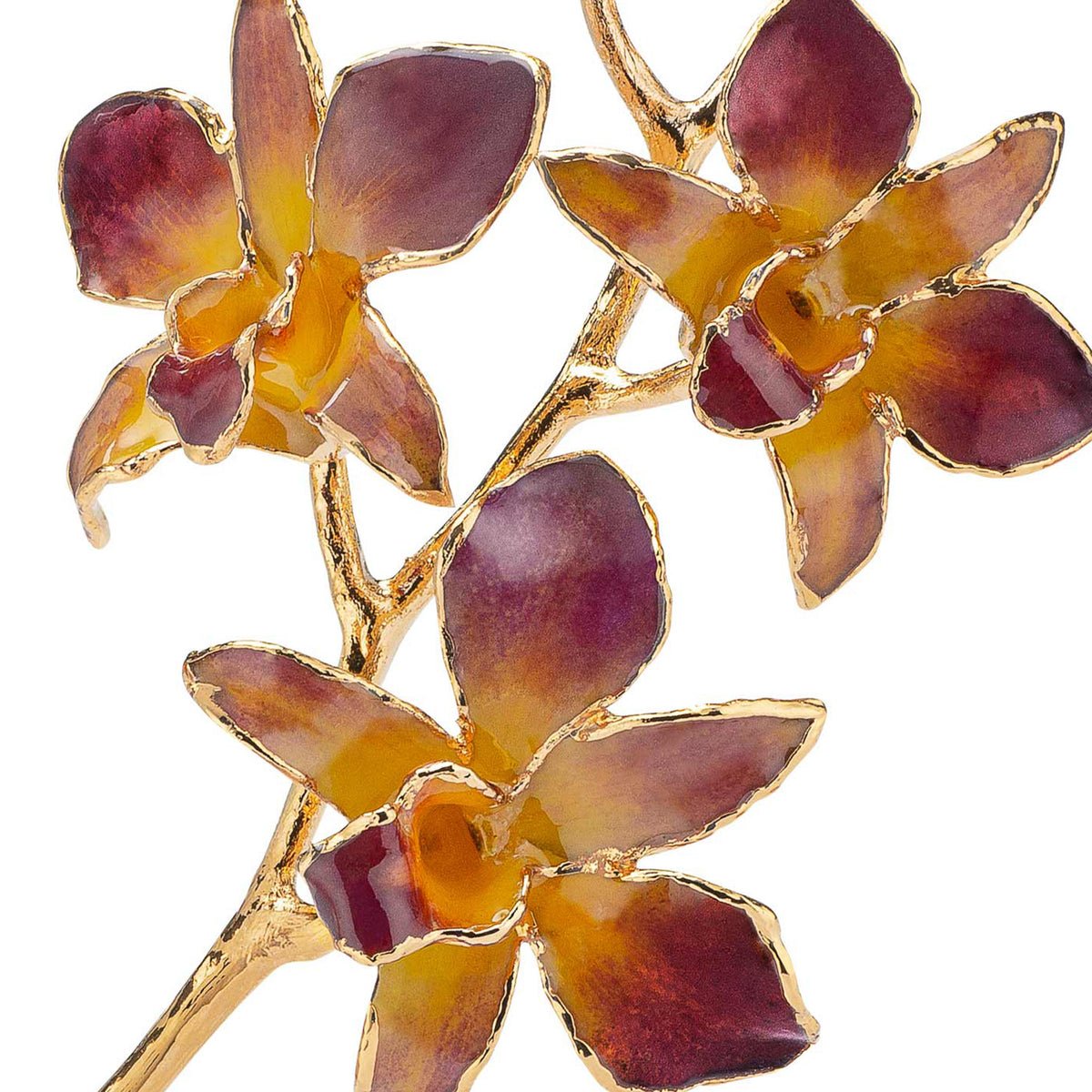 24K Gold Dipped Orchid in Lilac Yellow view of gold stem and flowers very closeup view showing detail