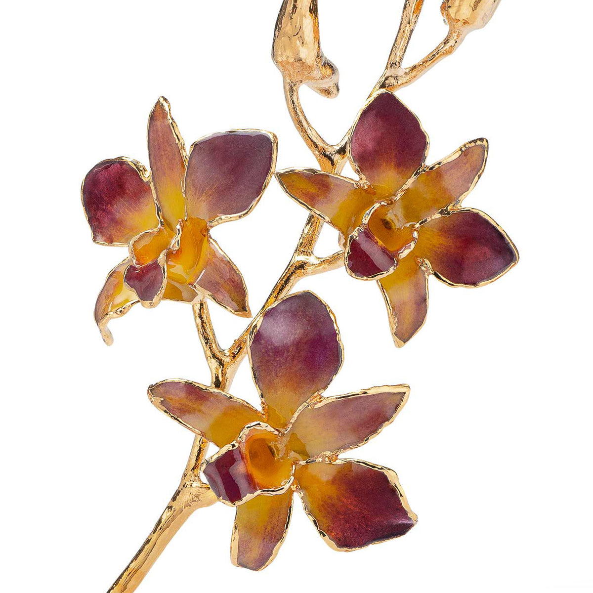 24K Gold Dipped Orchid in Lilac Yellow view of gold stem and flowers closeup view
