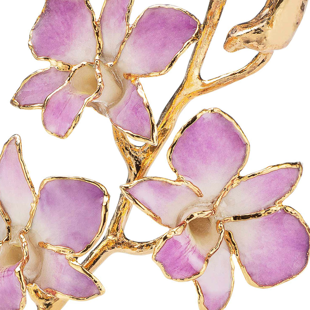 24K Gold Dipped Orchid in Lilac closeup view of gold stem and flowers