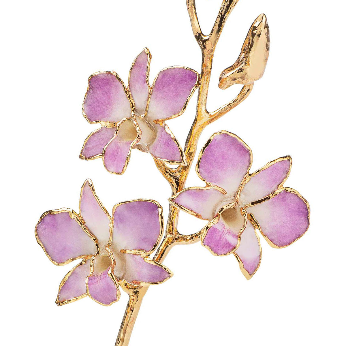 24K Gold Dipped Orchid in Lilac view of closer view of gold stem and flowers