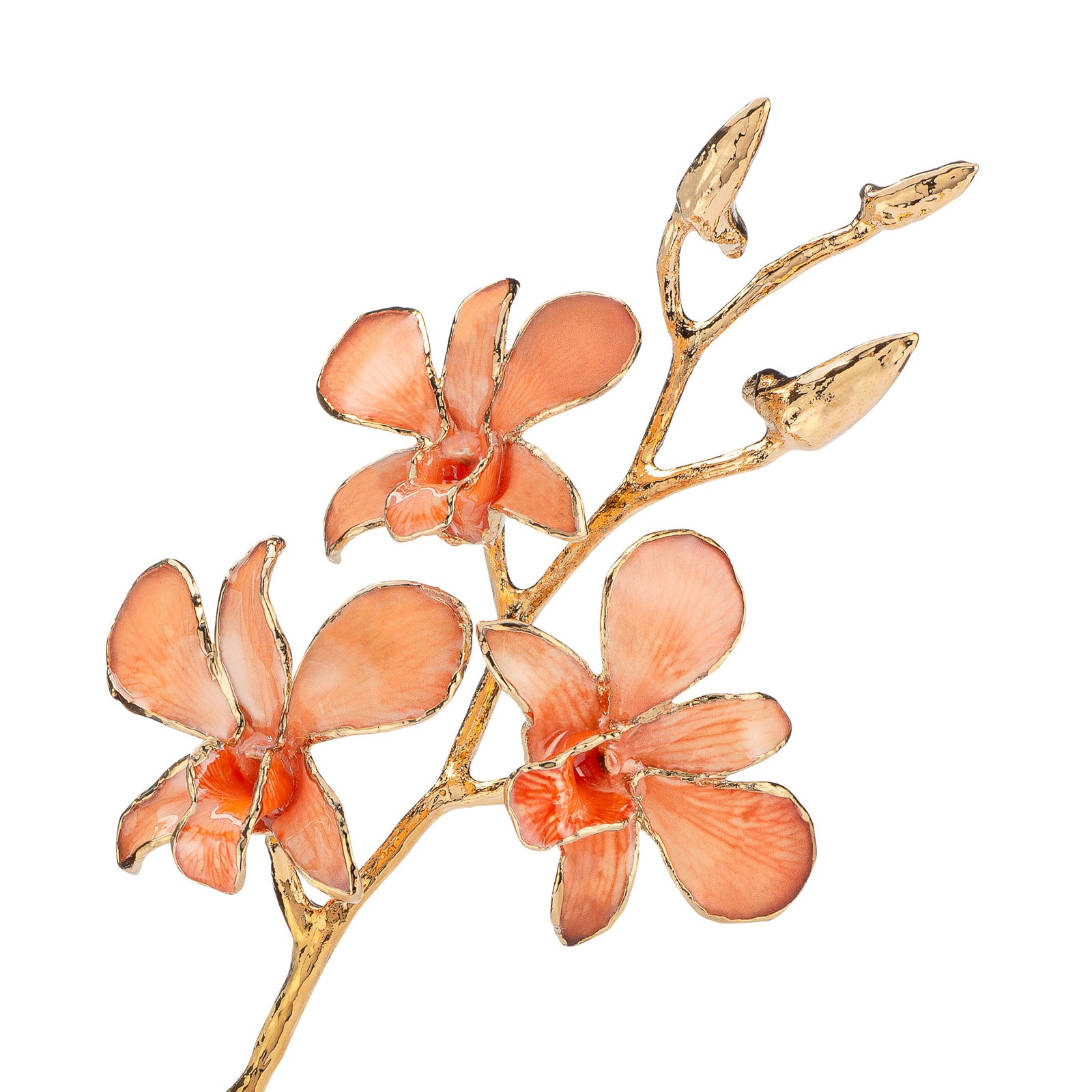 24K Gold Dipped Orchid in Peach view of gold stem and flowers