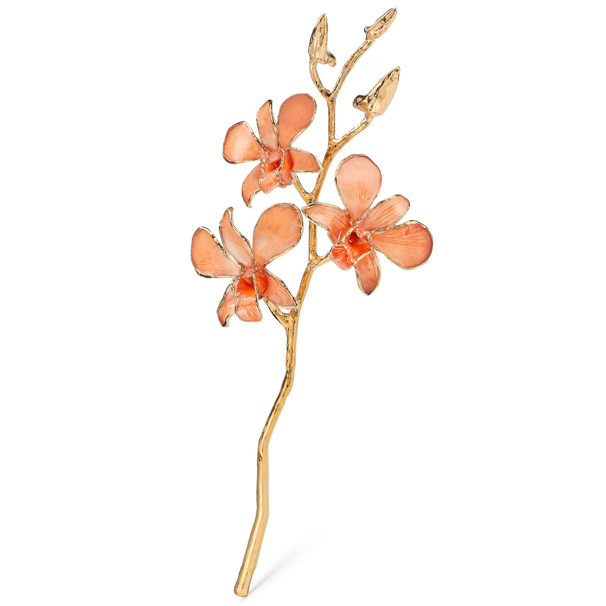24K Gold Dipped Orchid in Peach view of gold stem and flowers