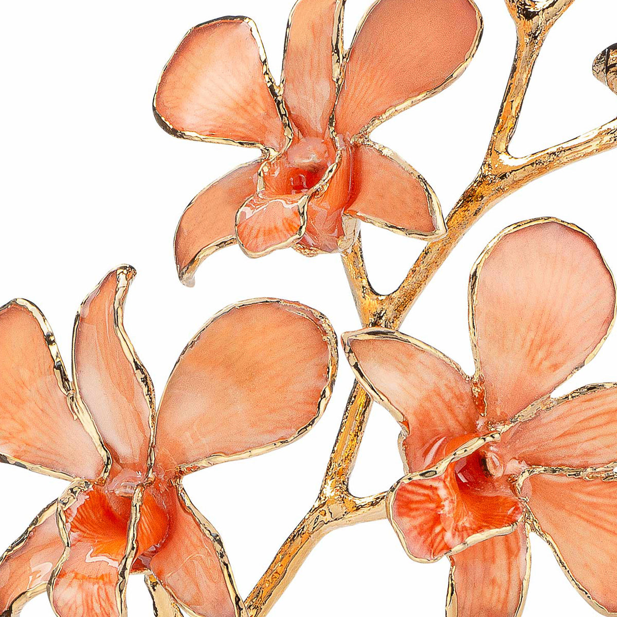 24K Gold Dipped Orchid in Peach view of gold stem and flowers closeup view showing detail