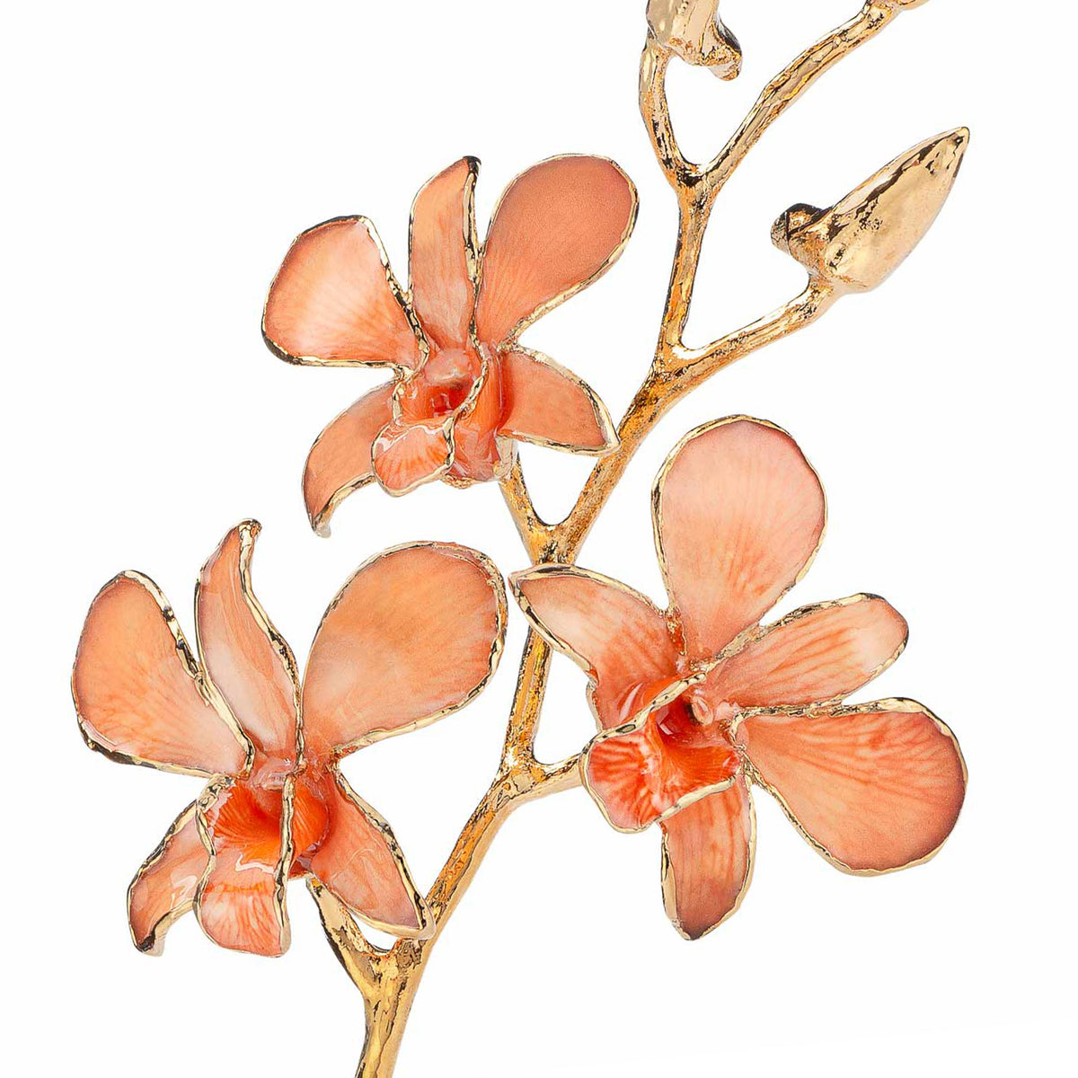 24K Gold Dipped Orchid in Peach view of gold stem and flowers closeup view
