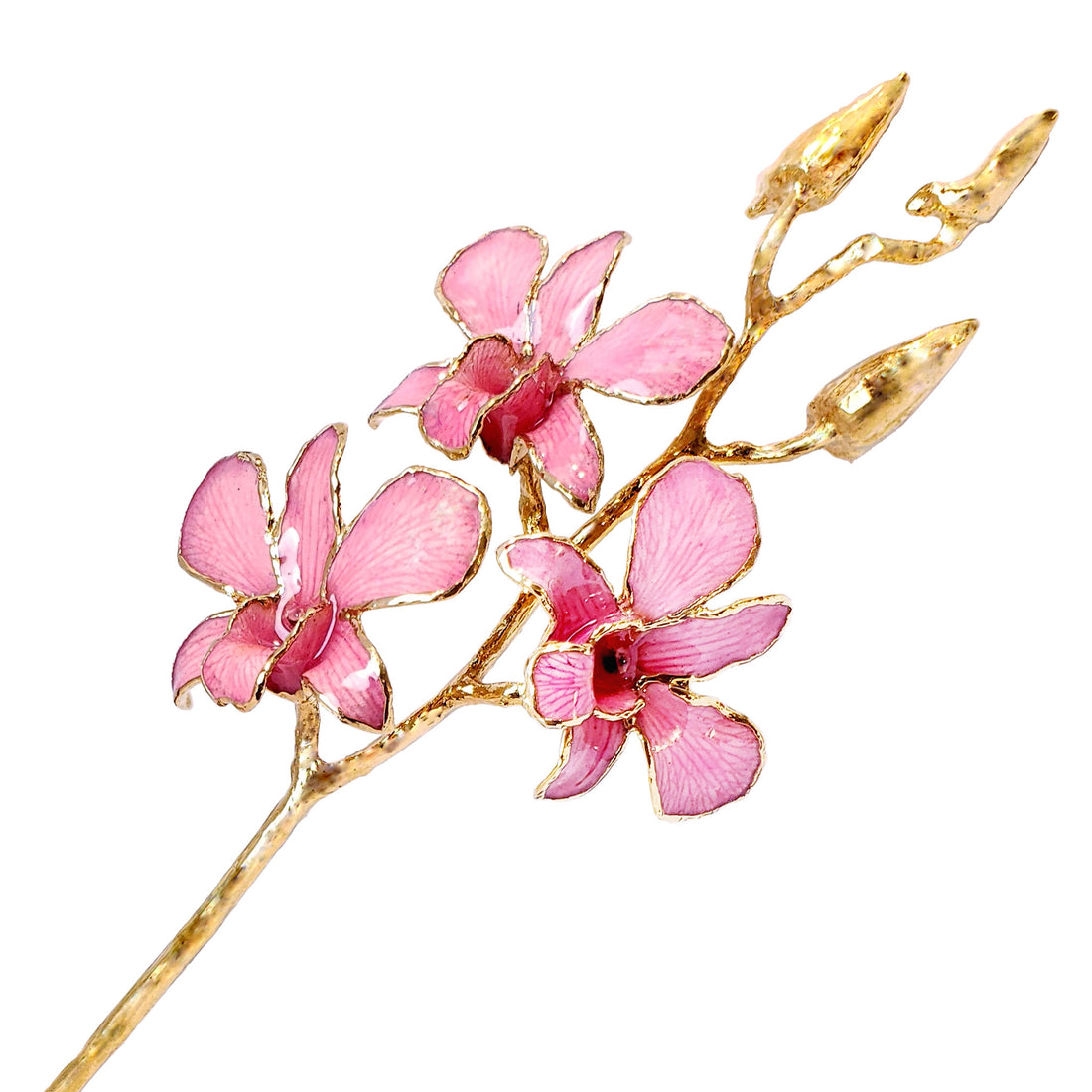 24K Gold Orchid - Pink