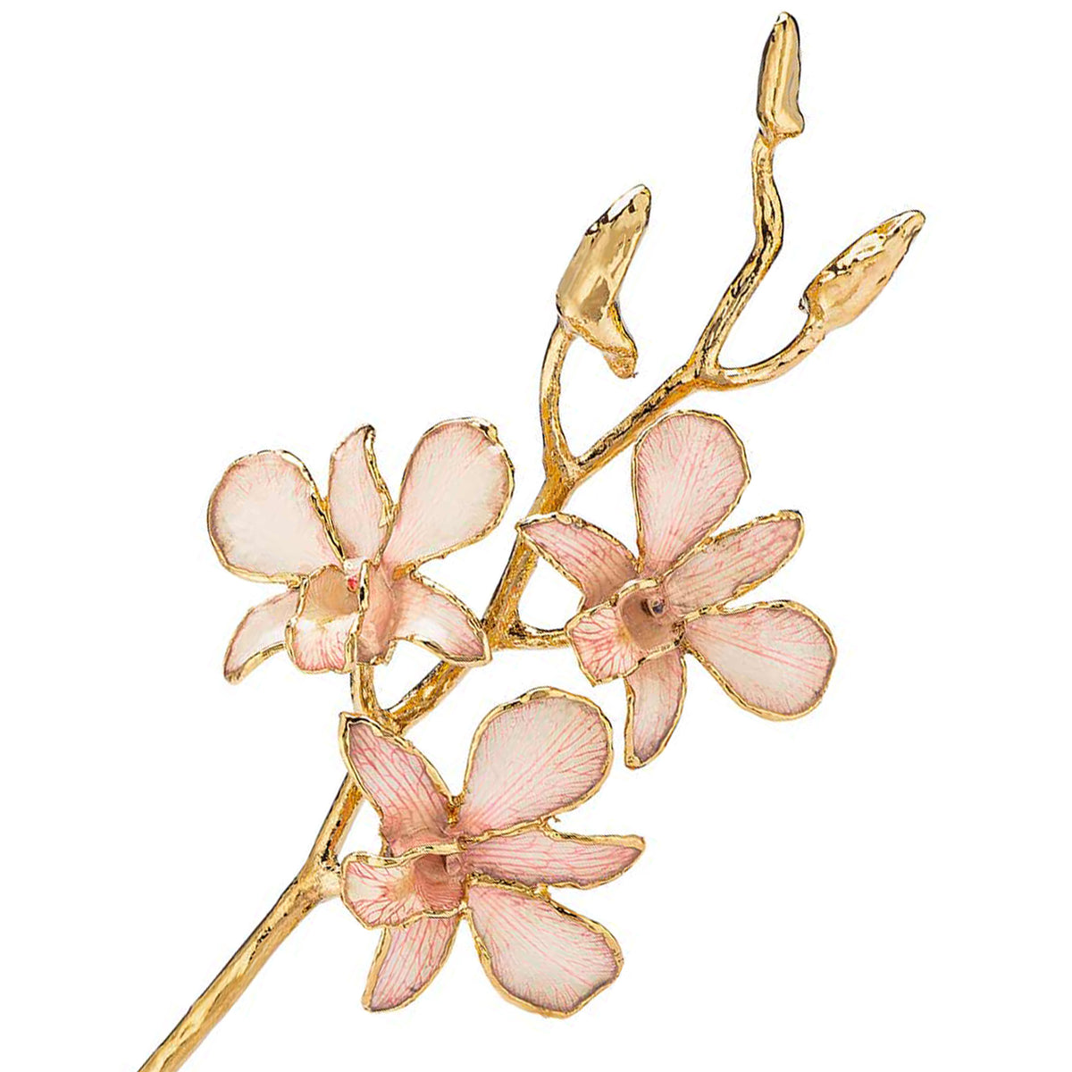 24K Gold Dipped Orchid in Pink Lace view of gold stem and flowers