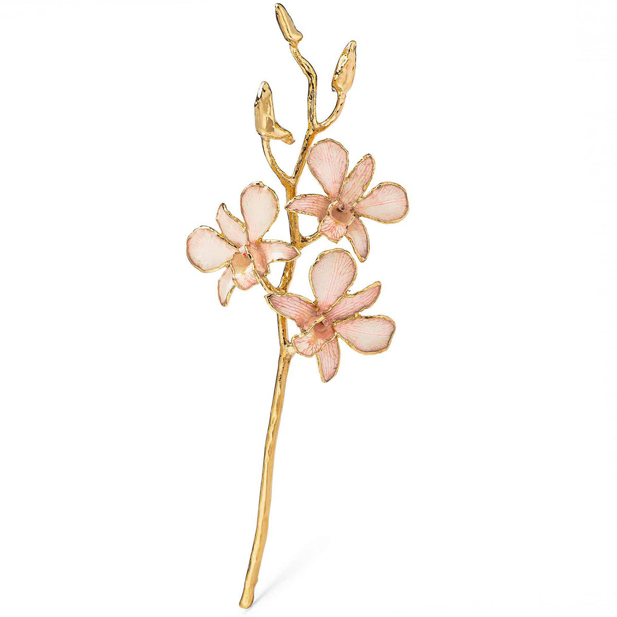 24K Gold Dipped Orchid in Pink Lace view of gold stem and flowers