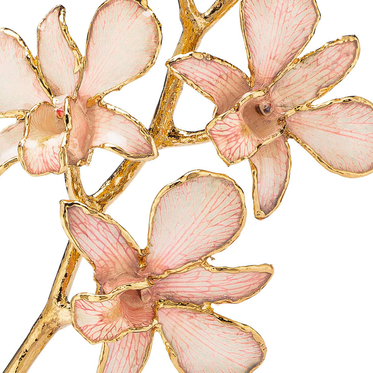 24K Gold Dipped Orchid in Pink Lace view of gold stem and flowers closeup view showing detail of flowers