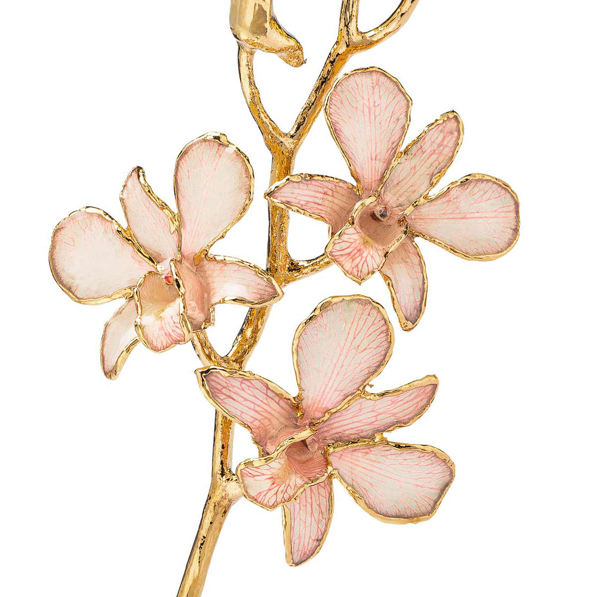 24K Gold Dipped Orchid in Pink Lace view of gold stem and flowers closeup view