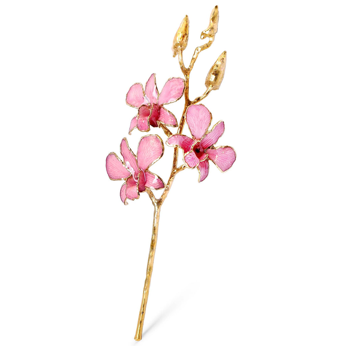24K Gold Orchid - Pink