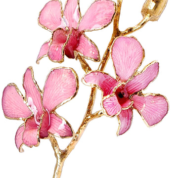 24K Gold Orchid - Pink