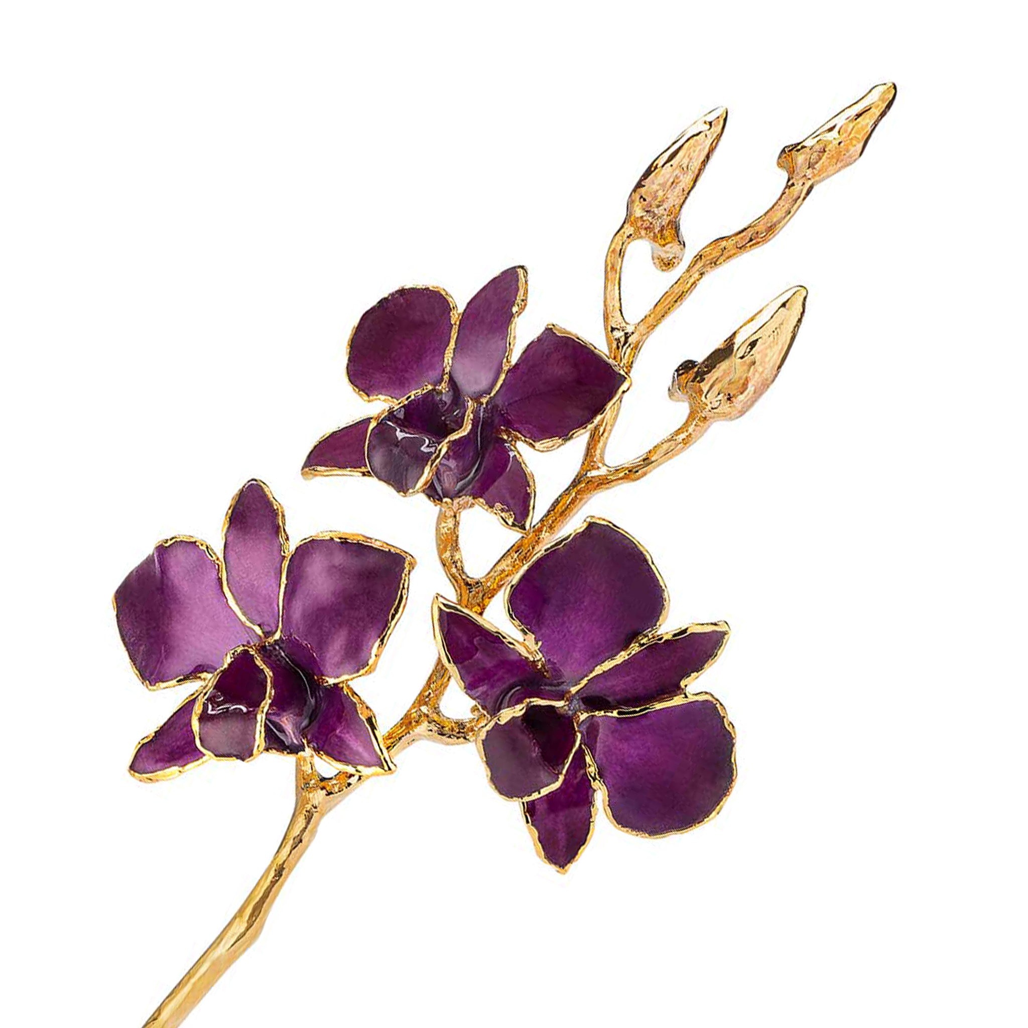 24K Gold Dipped Orchid in Purple view of gold stem and flowers