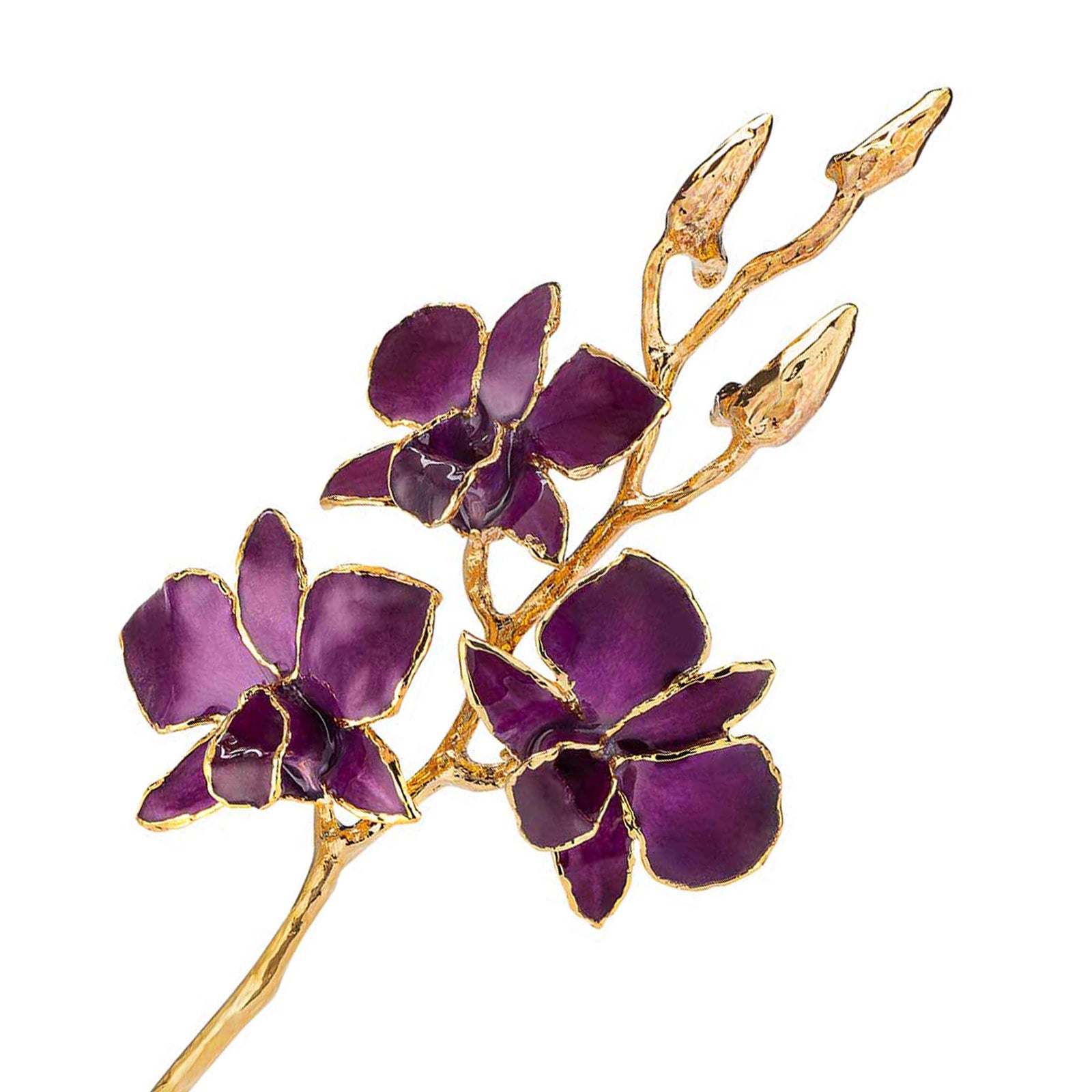 24K Gold Dipped Orchid in Purple view of gold stem and flowers