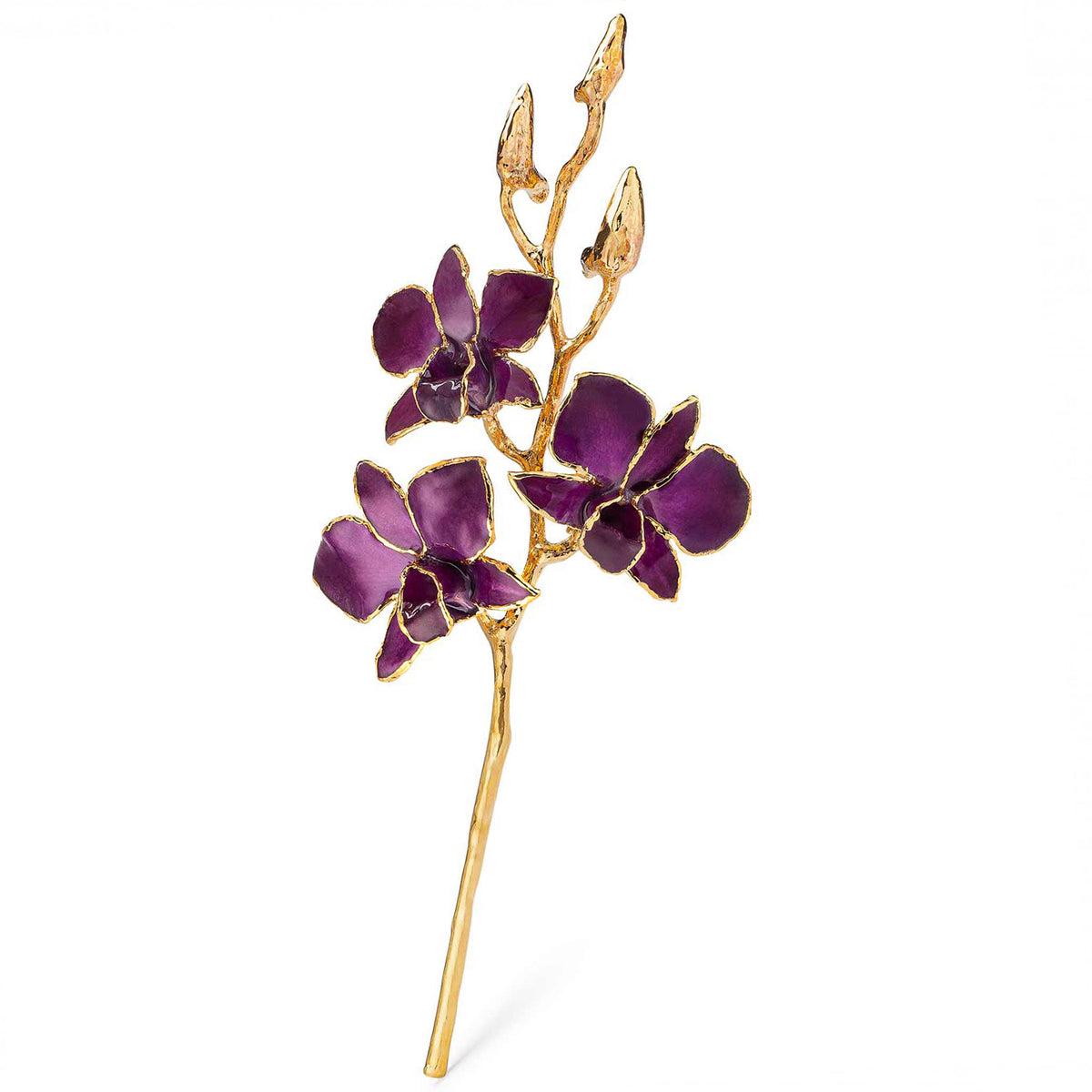 24K Gold Dipped Orchid in Purple view of gold stem and flowers