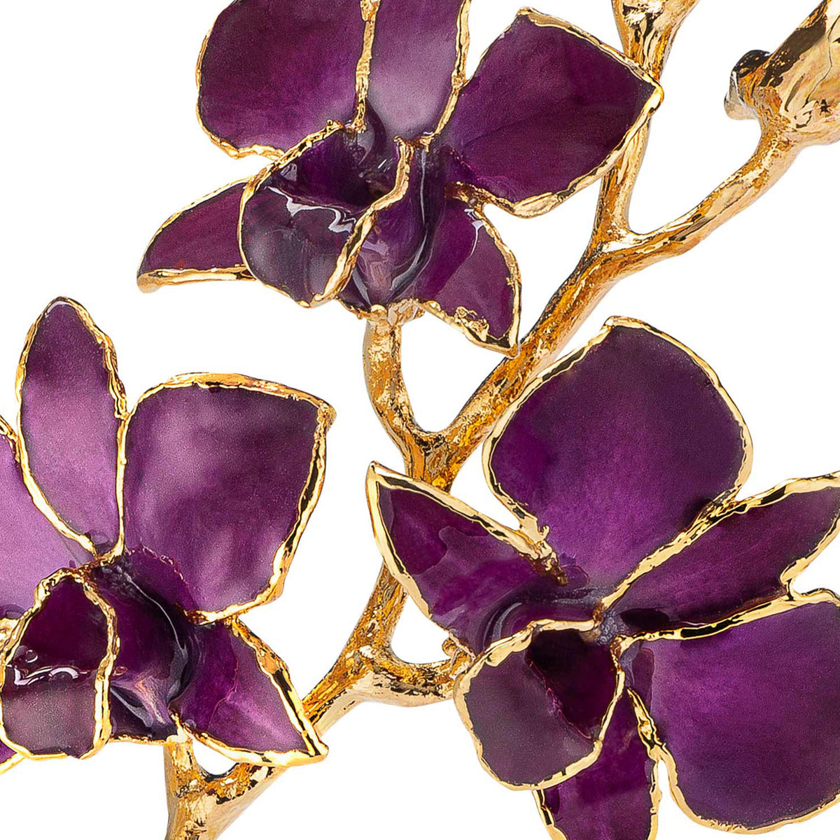 24K Gold Dipped Orchid in Purple view of gold stem and flowers closeup view showing detail of flowers