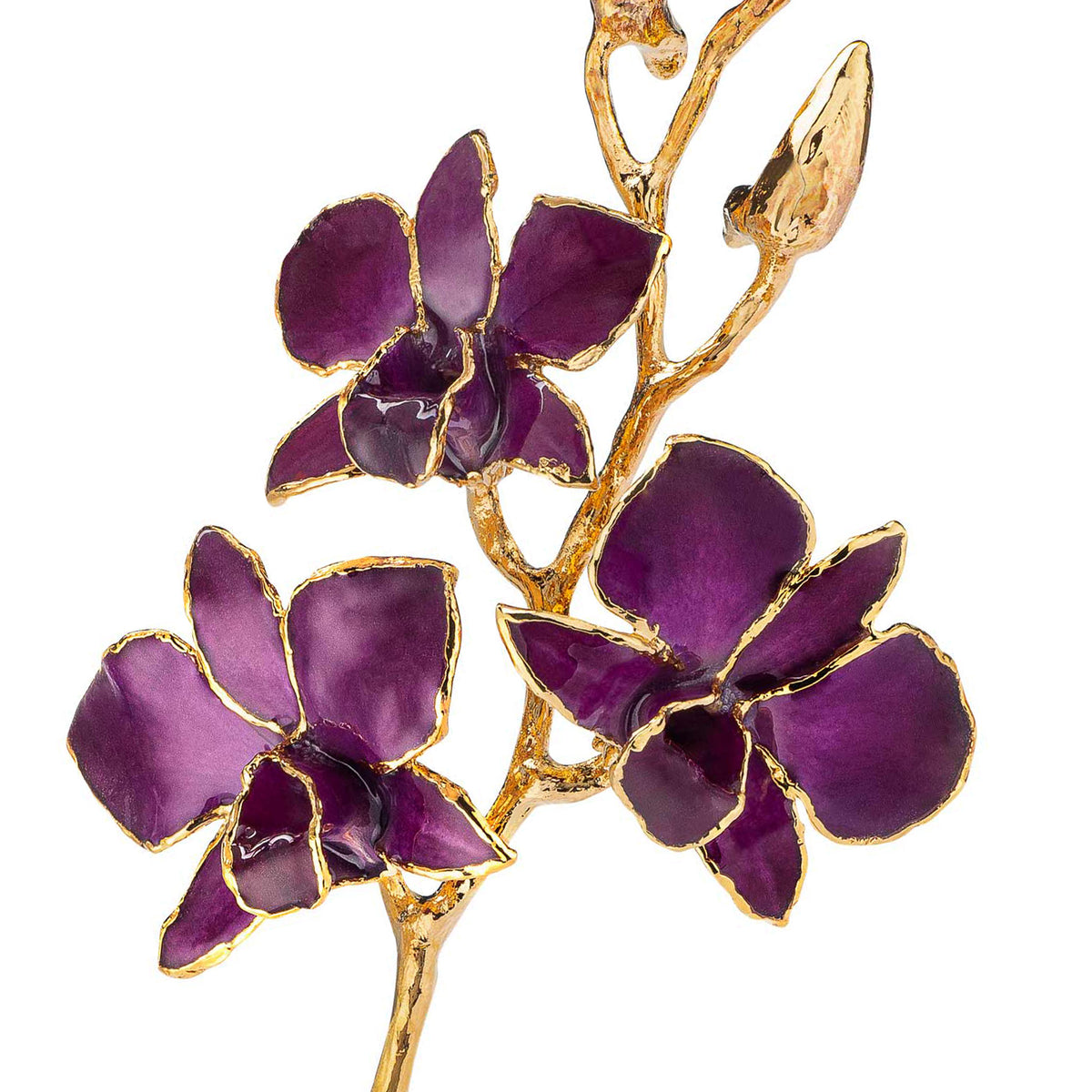 24K Gold Dipped Orchid in Purple view of gold stem and flowers closeup view