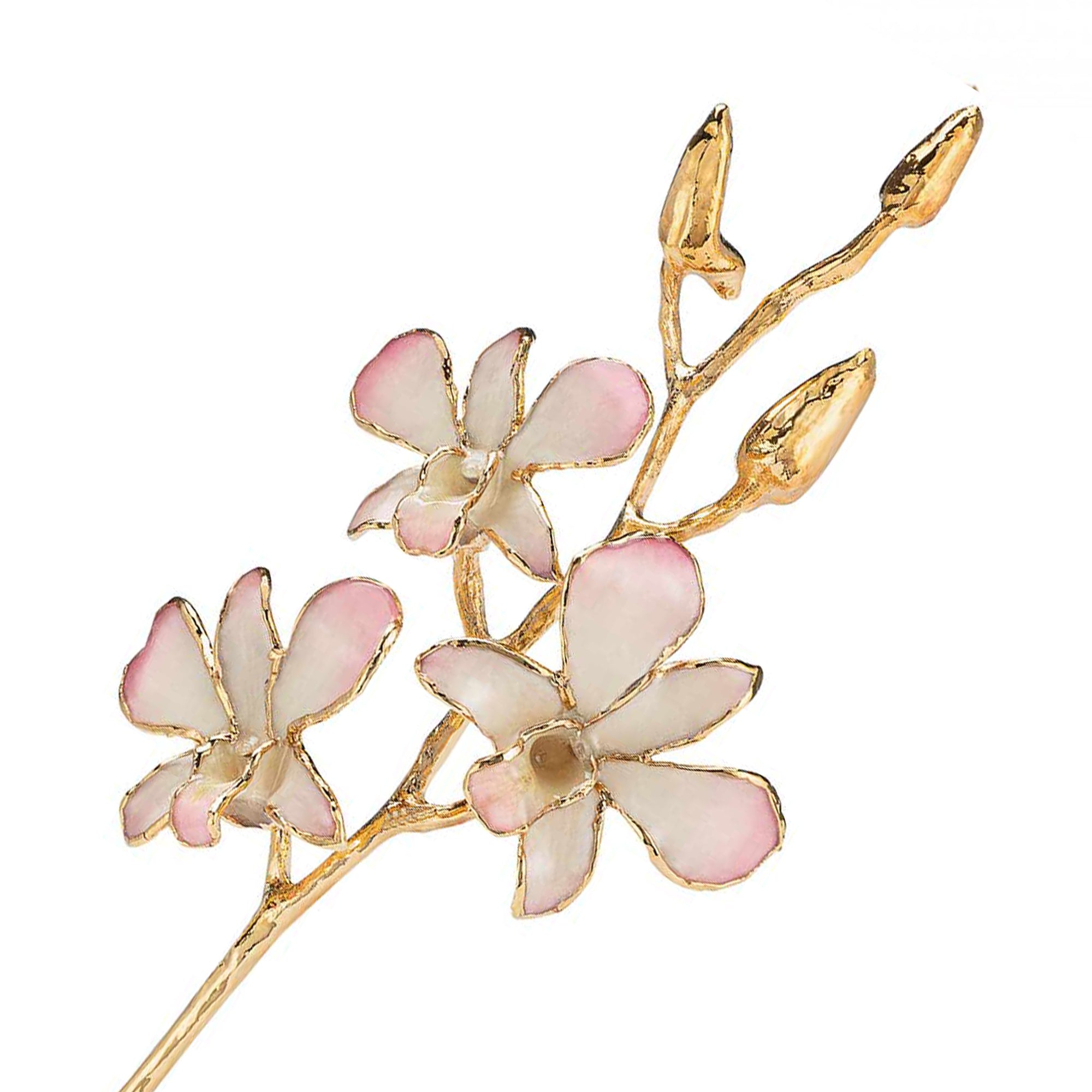 24K Gold Dipped Orchid in White to Pink view of gold stem and flowers