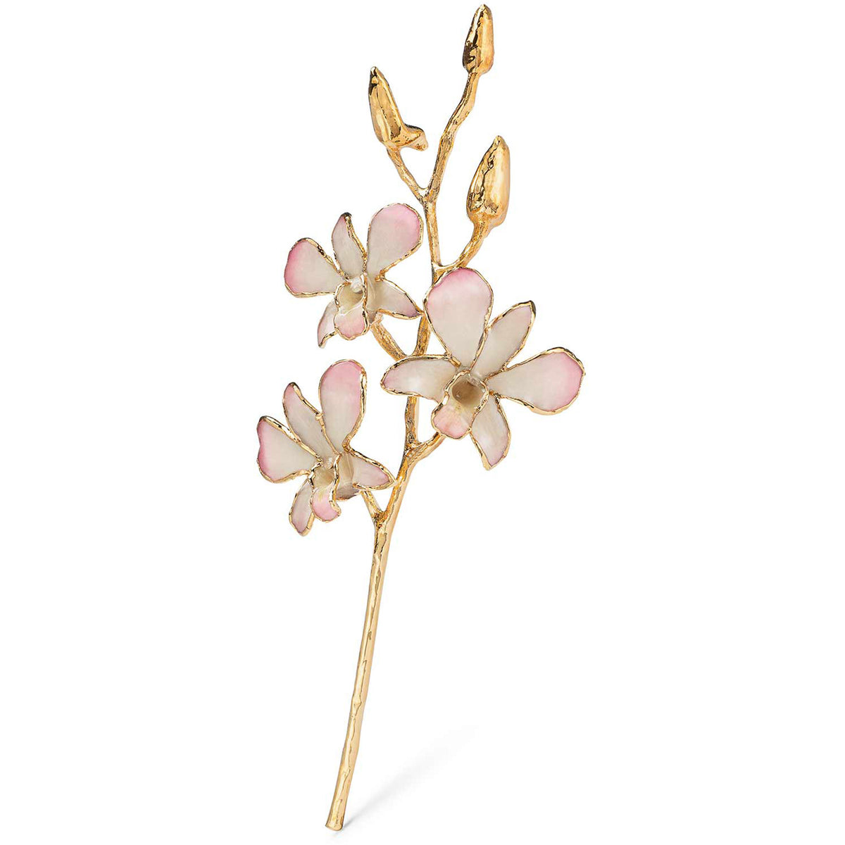 24K Gold Dipped Orchid in White to Pink view of gold stem and flowers