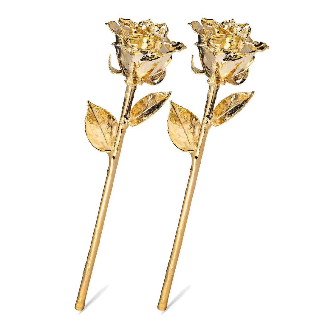 24K Gold Dipped Roses: Combo Deal