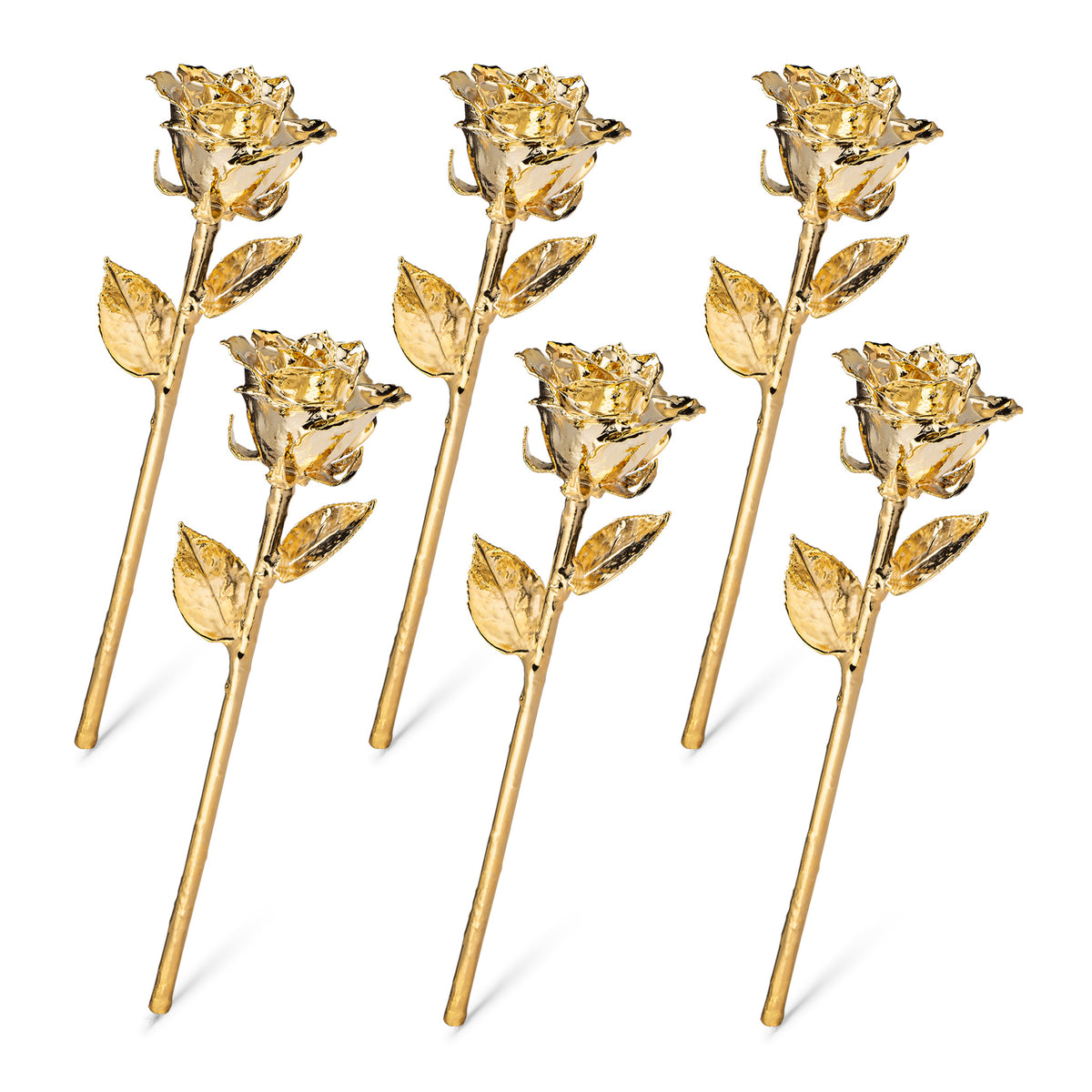 24K Gold Dipped Roses: Half Dozen