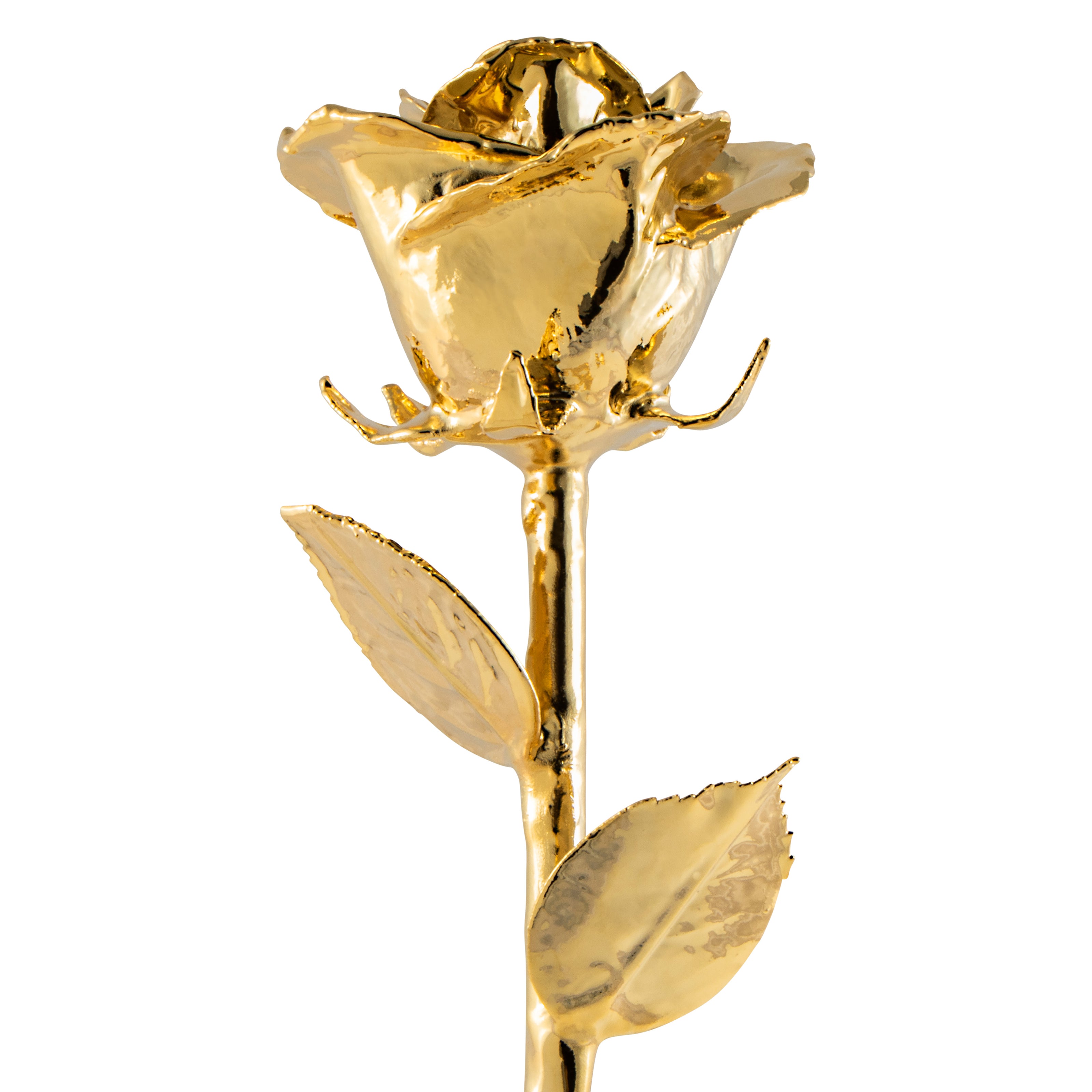 Forever Rose Leather Display Case Combo (24K Gold)