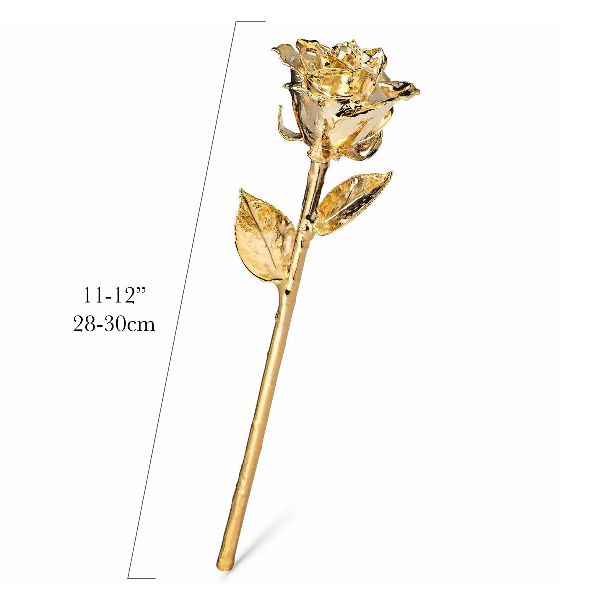 24K Gold Dipped Roses: Half Dozen