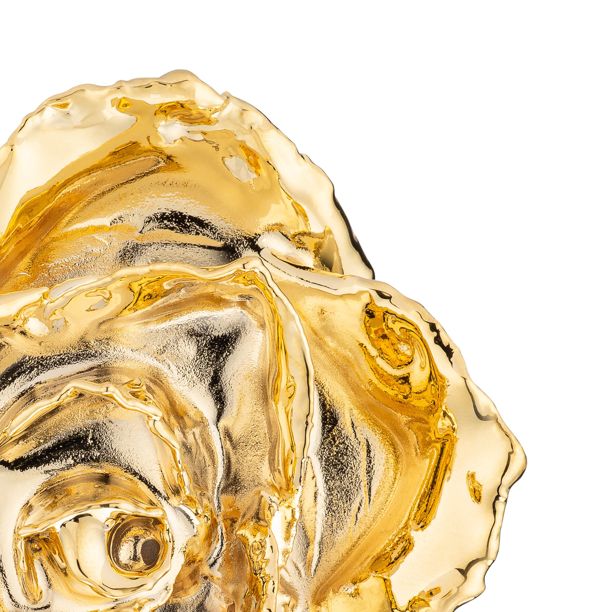 24K Gold Dipped Roses: Half Dozen
