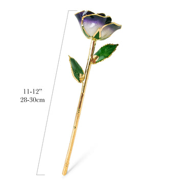 24K Gold Forever Rose - Eternal Bliss (Open Bloom)