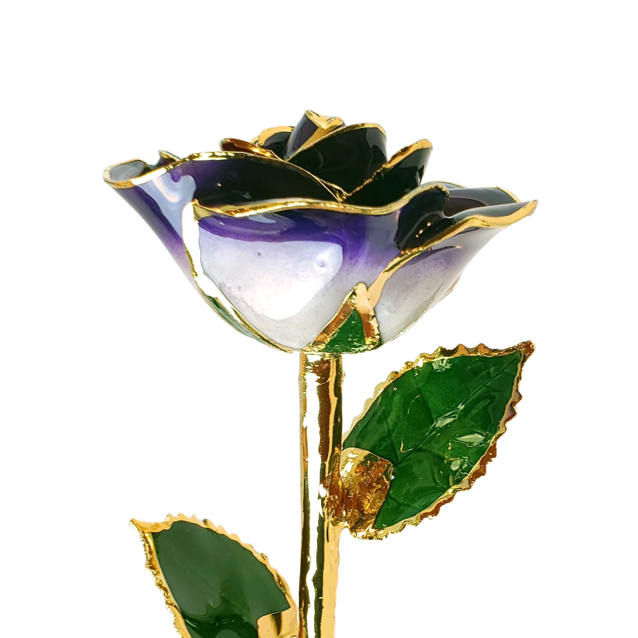 24K Gold Forever Rose - Eternal Bliss (Open Bloom)