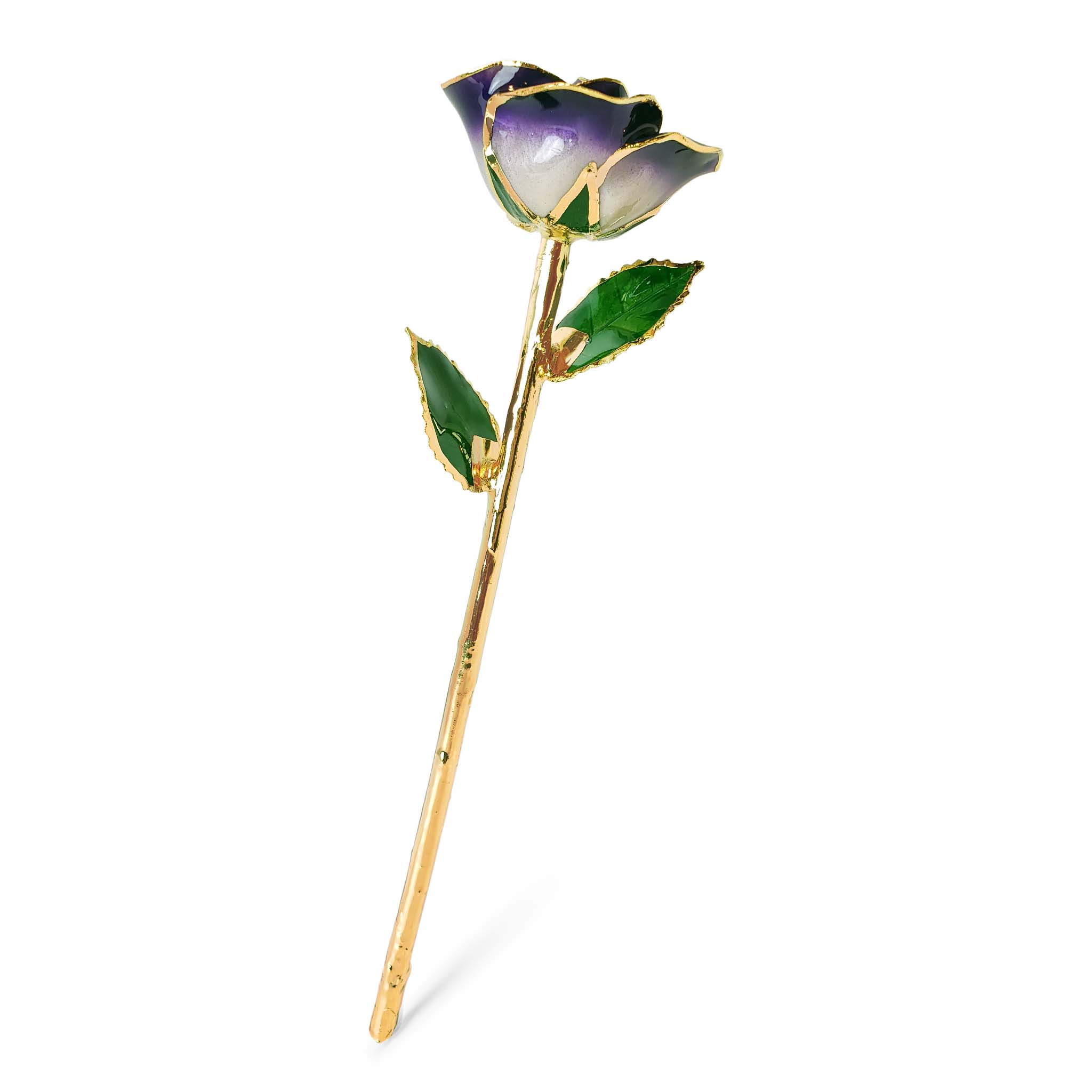 24K Gold Forever Rose - Eternal Bliss (Open Bloom)