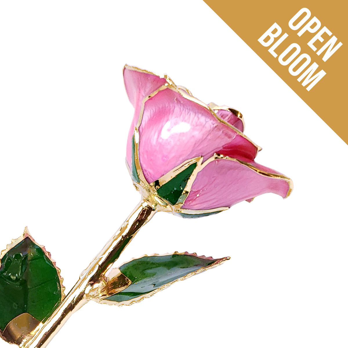 24K Gold Forever Rose - Pink (Open Bloom)