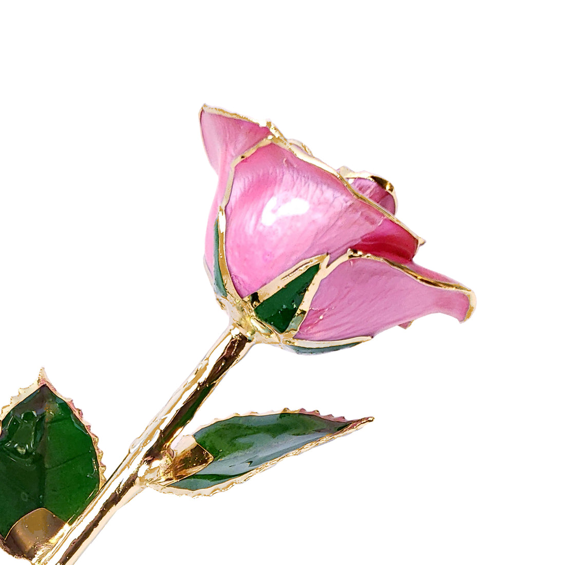 24K Gold Forever Rose - Pink (Open Bloom)