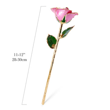 24K Gold Forever Rose - Pink (Open Bloom)