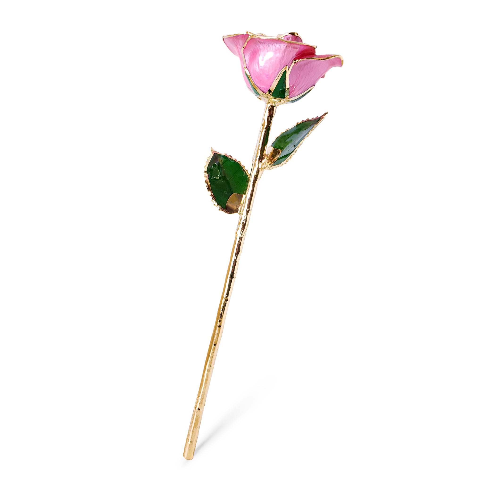 24K Gold Forever Rose - Pink (Open Bloom)