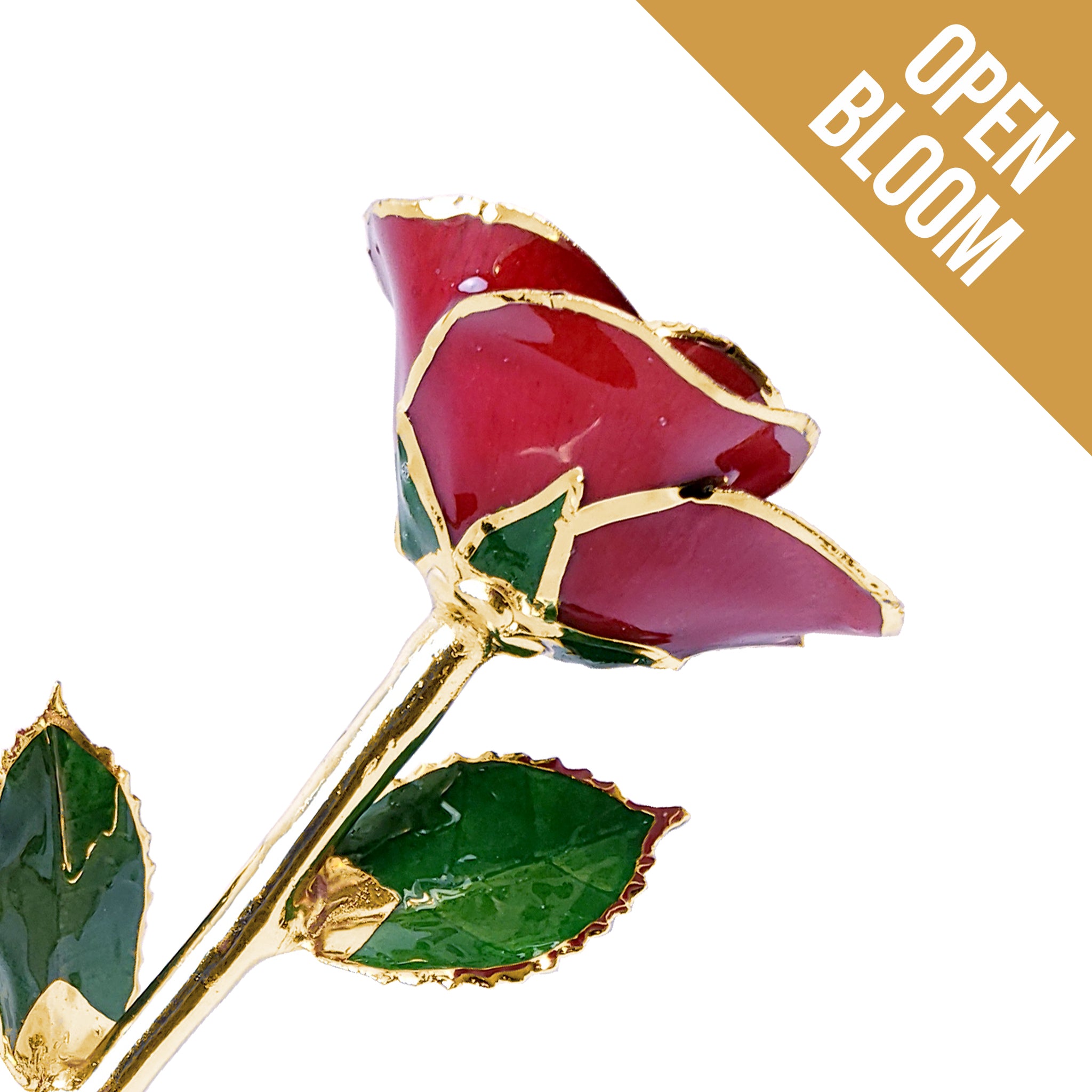 24K Gold Forever Rose - Red (Open Bloom)