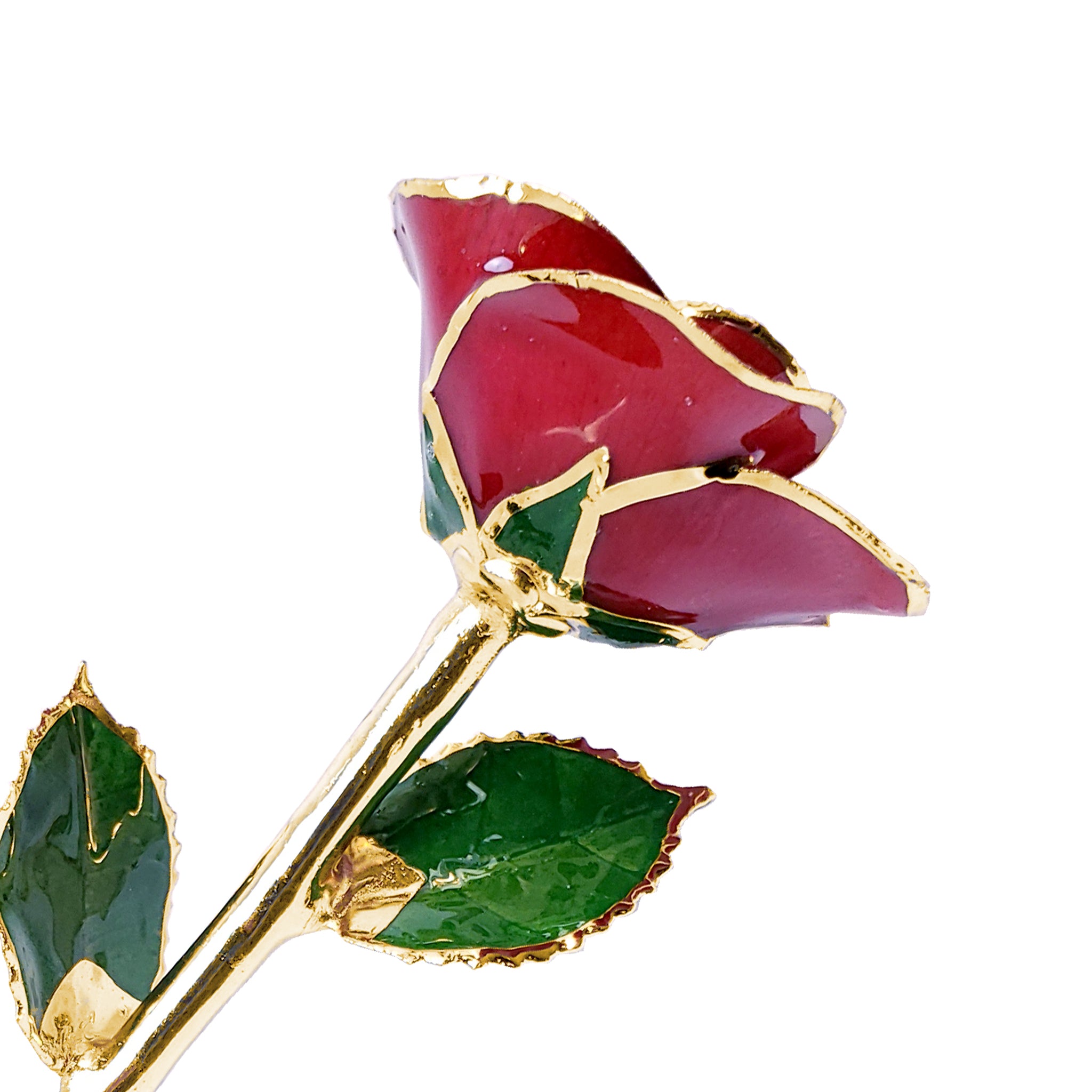 24K Gold Forever Rose - Red (Open Bloom)