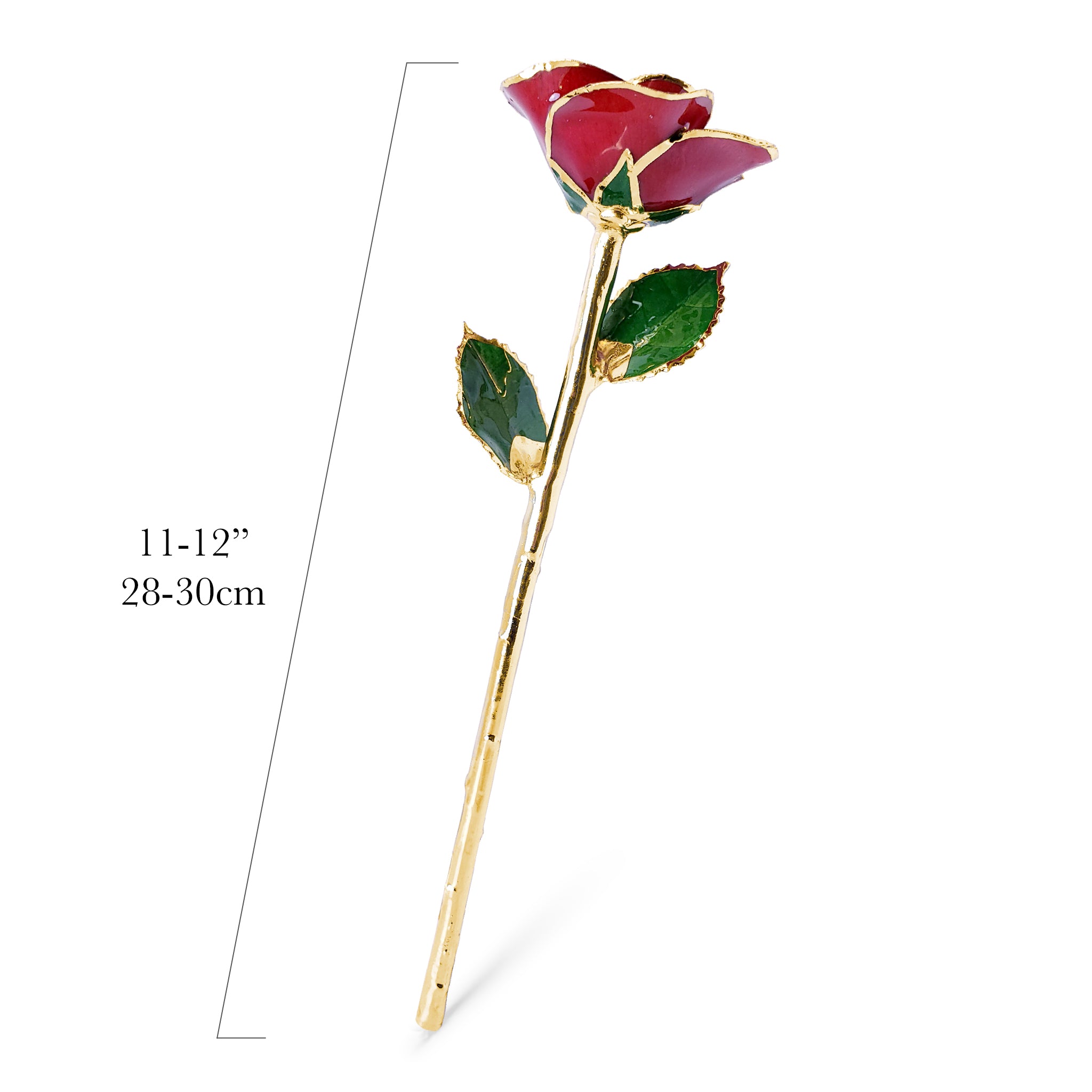 24K Gold Forever Rose - Red (Open Bloom)