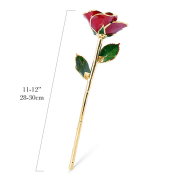 24K Gold Forever Rose - Red (Open Bloom)