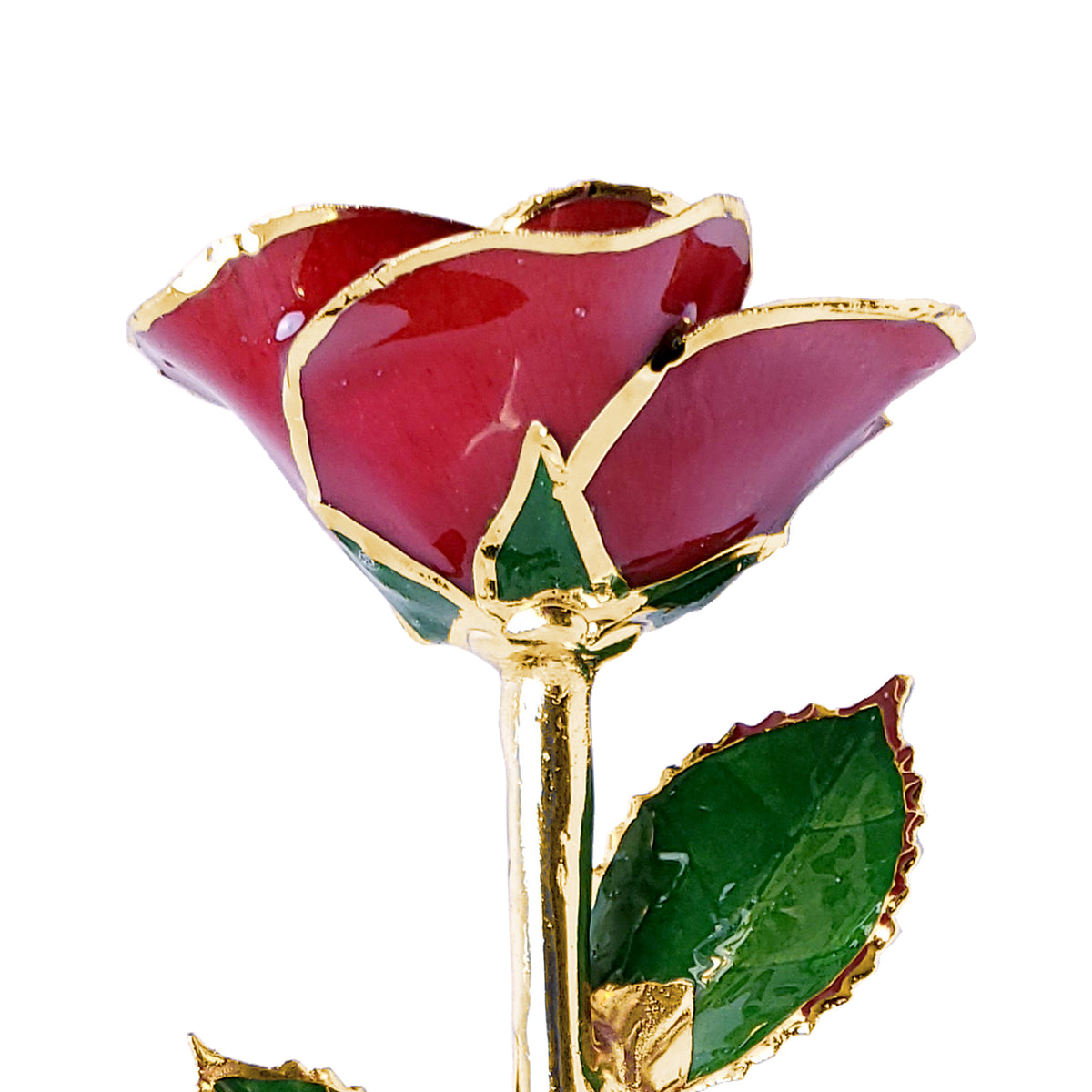 Custom Enchanted Rose - 24K Gold Forever Rose - Red (OPEN BLOOM)
