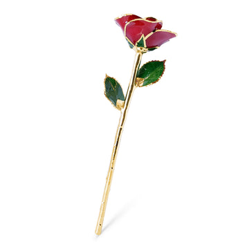 24K Gold Forever Rose - Red (Open Bloom)
