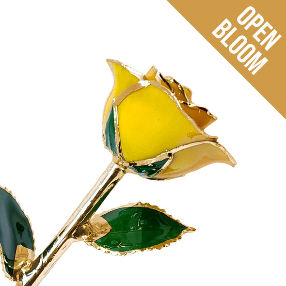 24K Gold Forever Rose - Yellow (Open Bloom)