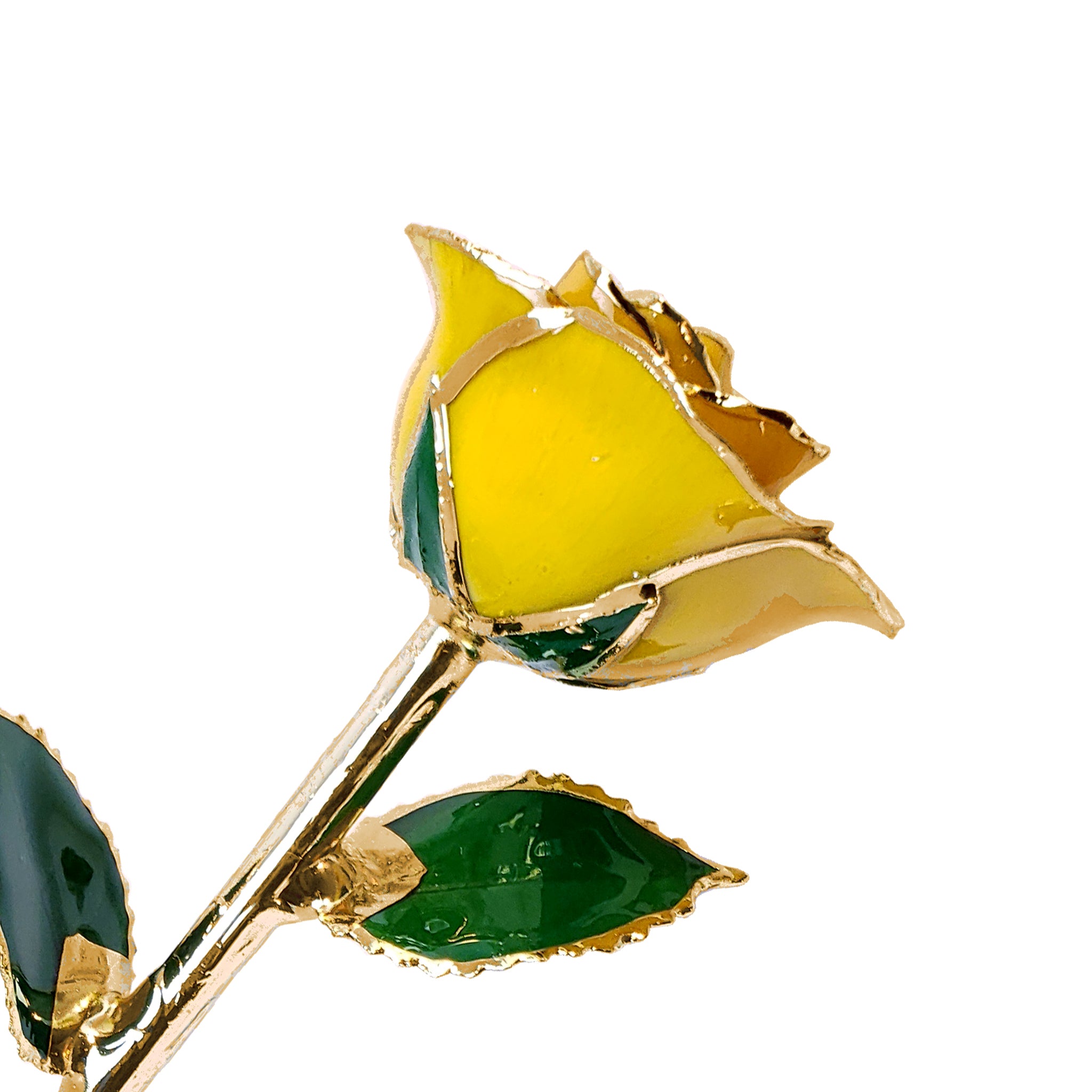 24K Gold Forever Rose - Yellow (Open Bloom)