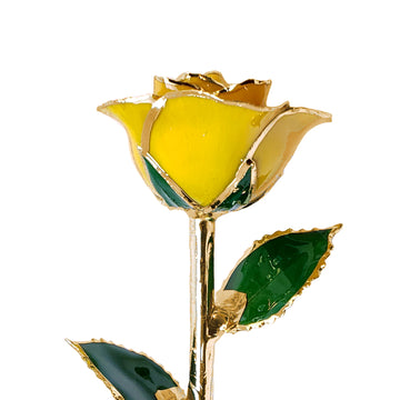24K Gold Forever Rose - Yellow (Open Bloom)