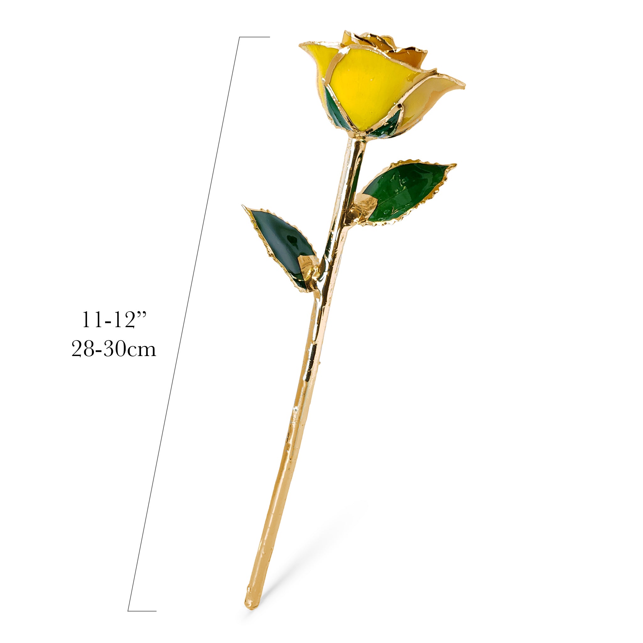 24K Gold Forever Rose - Yellow (Open Bloom)