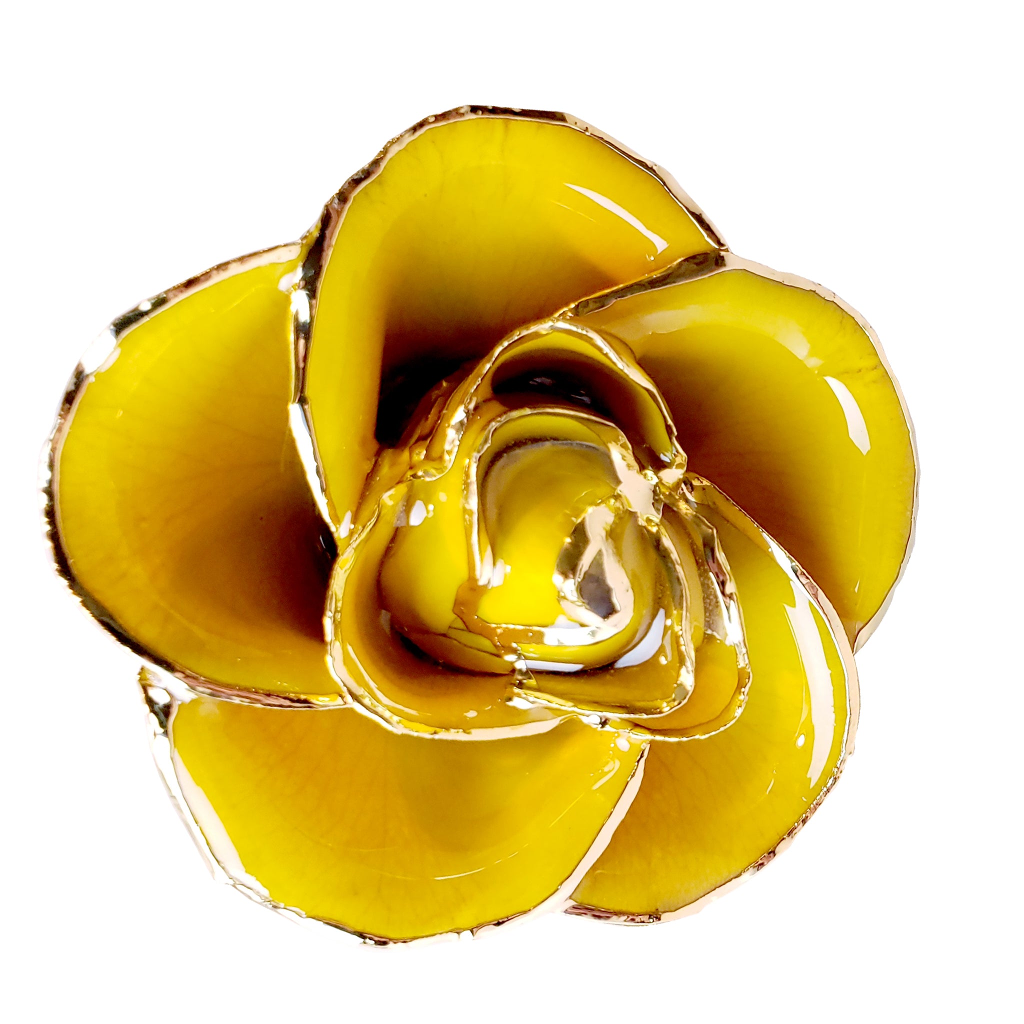 ♥ローズ♡ 24K Gold Forever Rose - Yellow (Open Bloom)