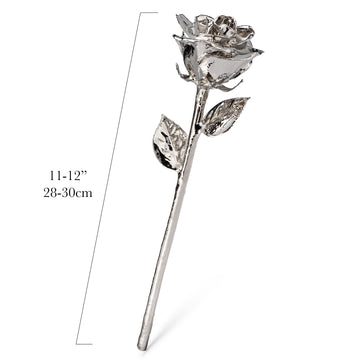 Platinum Dipped Roses: Half Dozen