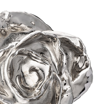 Platinum Dipped Roses: Half Dozen