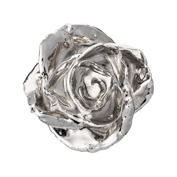 Platinum Dipped Roses: One Dozen